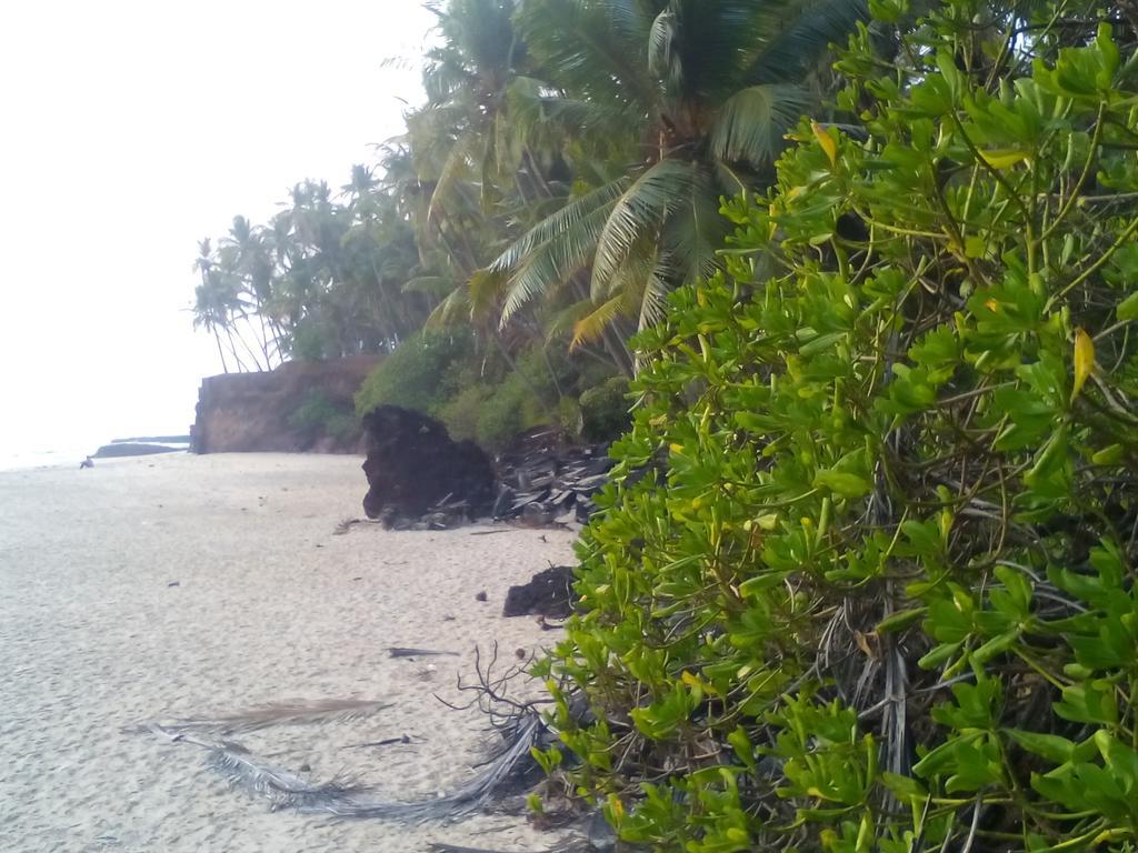Hotel Ivory Coaste Kannur Exterior foto